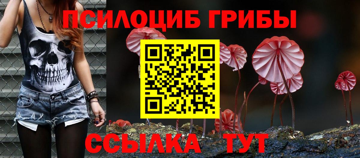Вятские Поляны  Галлюциногенные грибы мухоморы  Вход с VPN 
