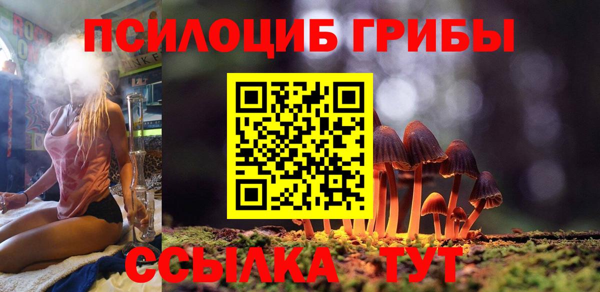 Псилоцибиновые грибы Cubensis Вятские Поляны